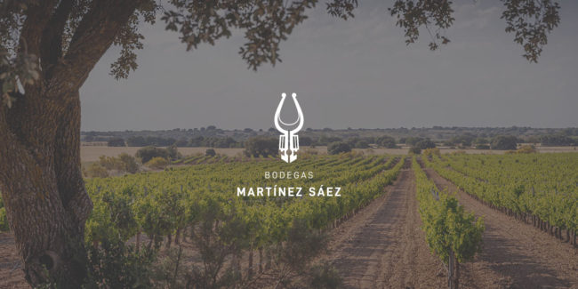 nueva-imagen-nueva-web